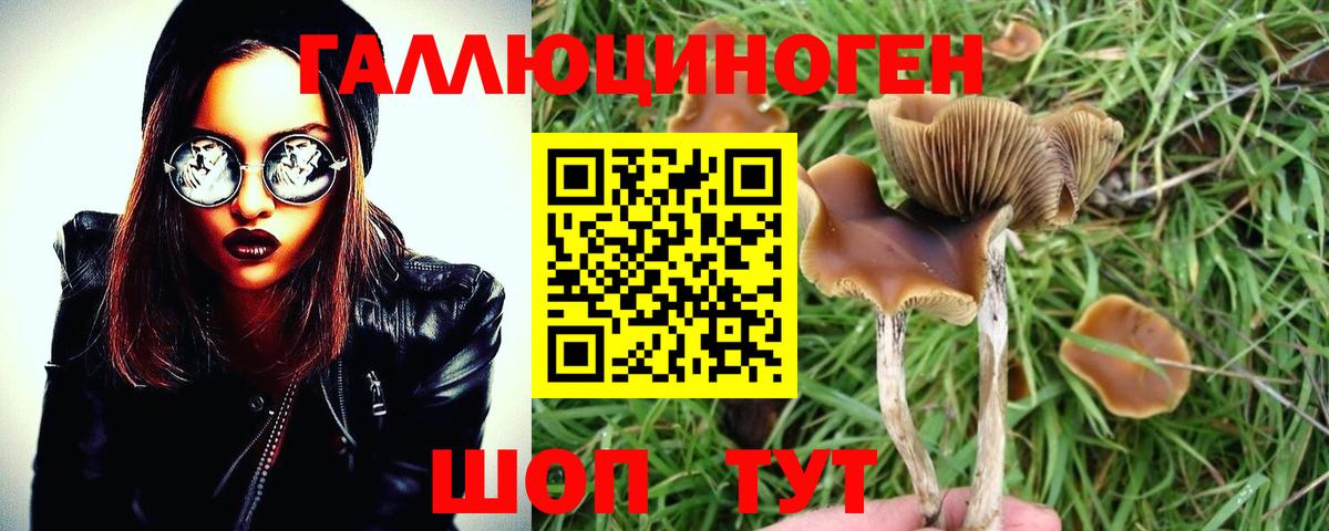 Пенза  Псилоцибиновые грибы мицелий  Вход с VPN 