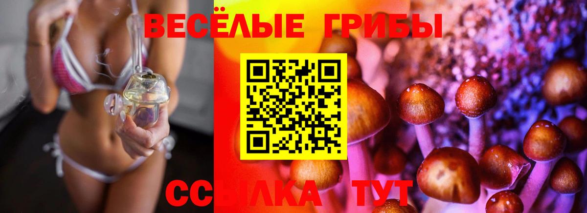 Галлюциногенные грибы мухоморы Пенза